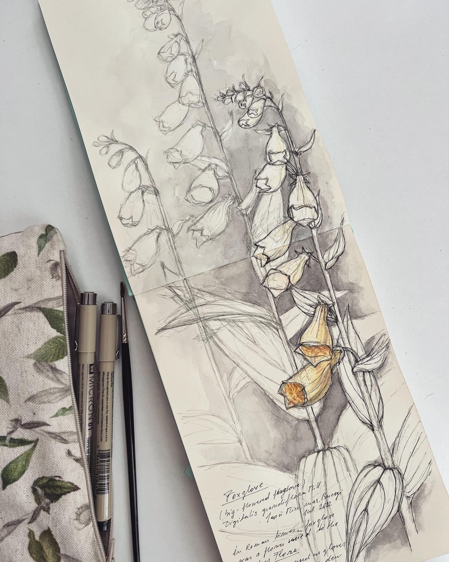 My sketchbook featuring bell flowers and some of my drawing tools