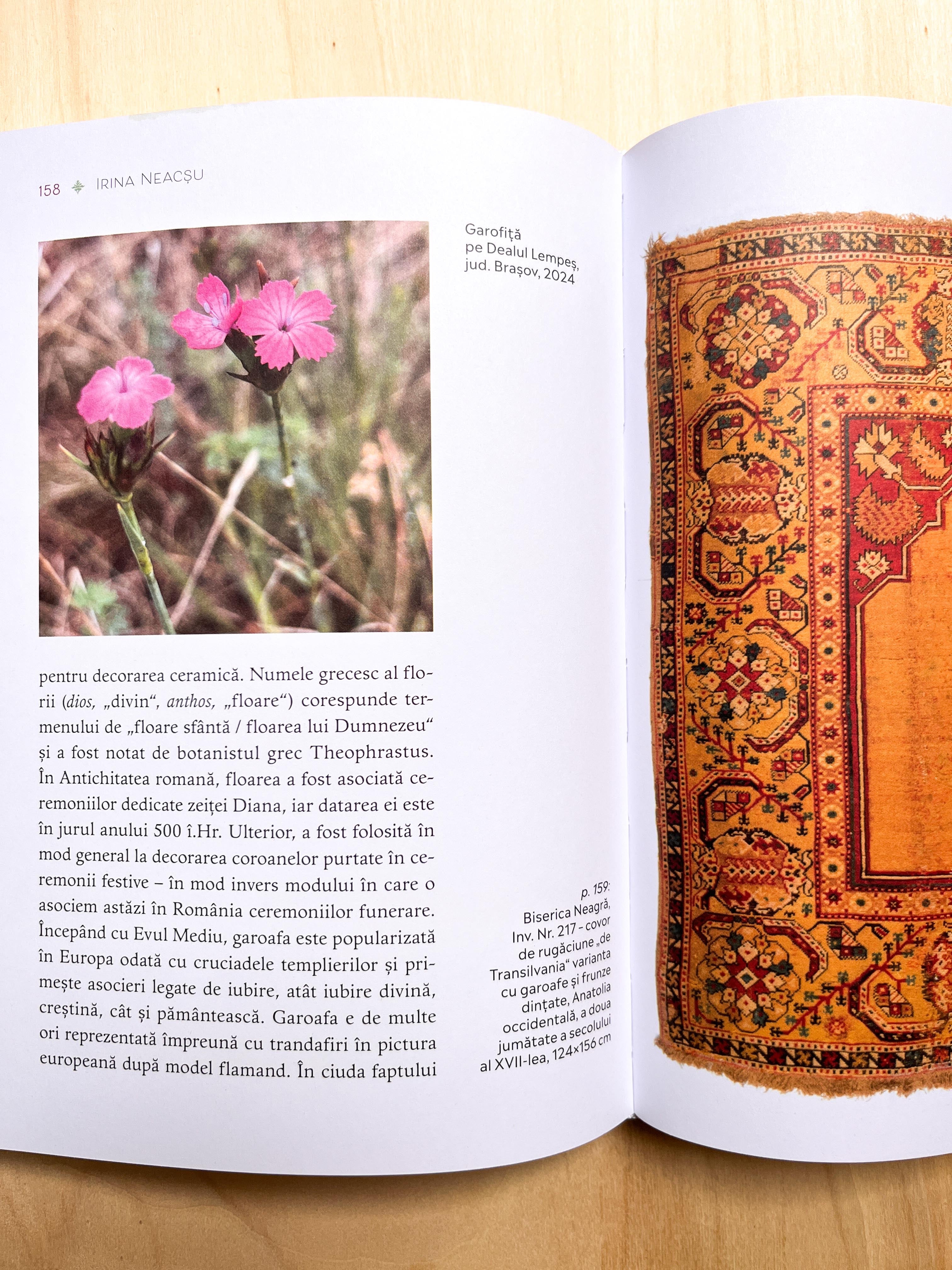 Book: (RO) Flori transilvane, 20 hand-signed copies