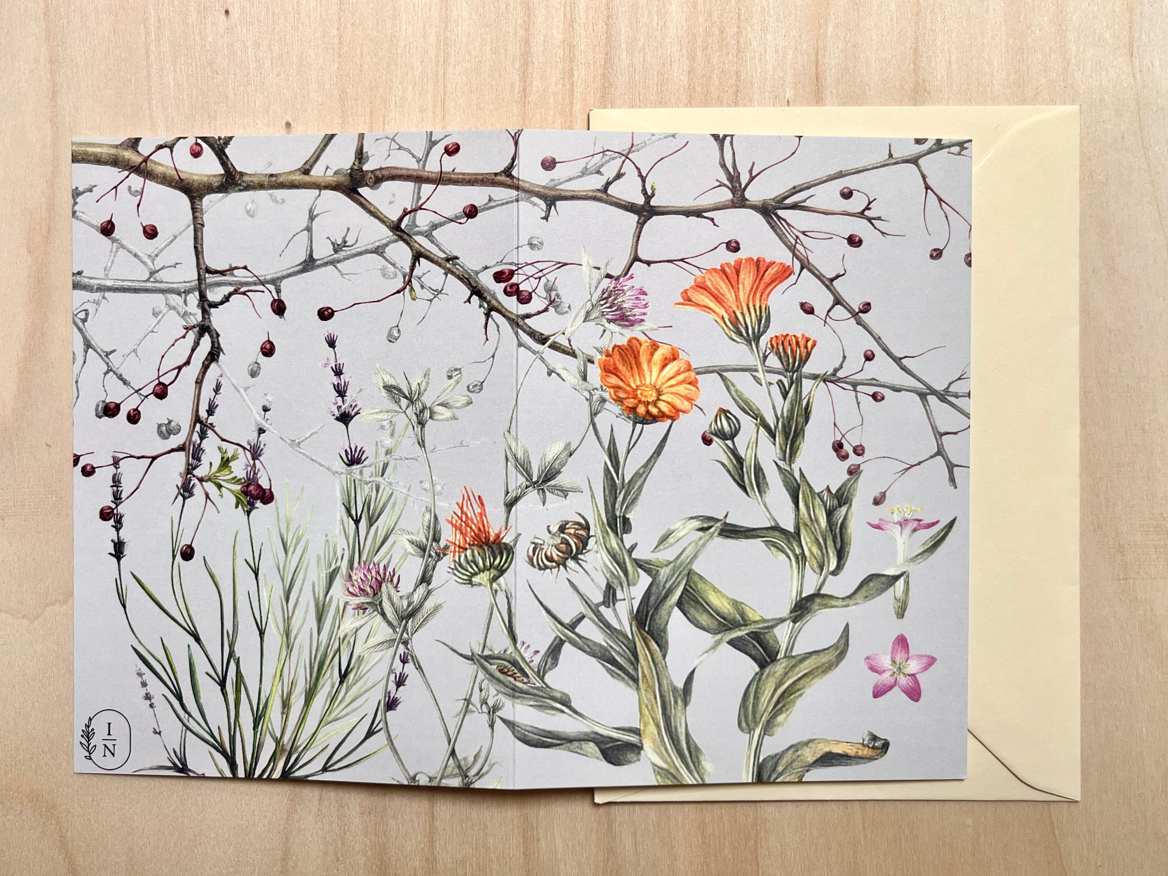 Set of 6 with envelopes, same pattern - Transylvanian Herbal Gardens