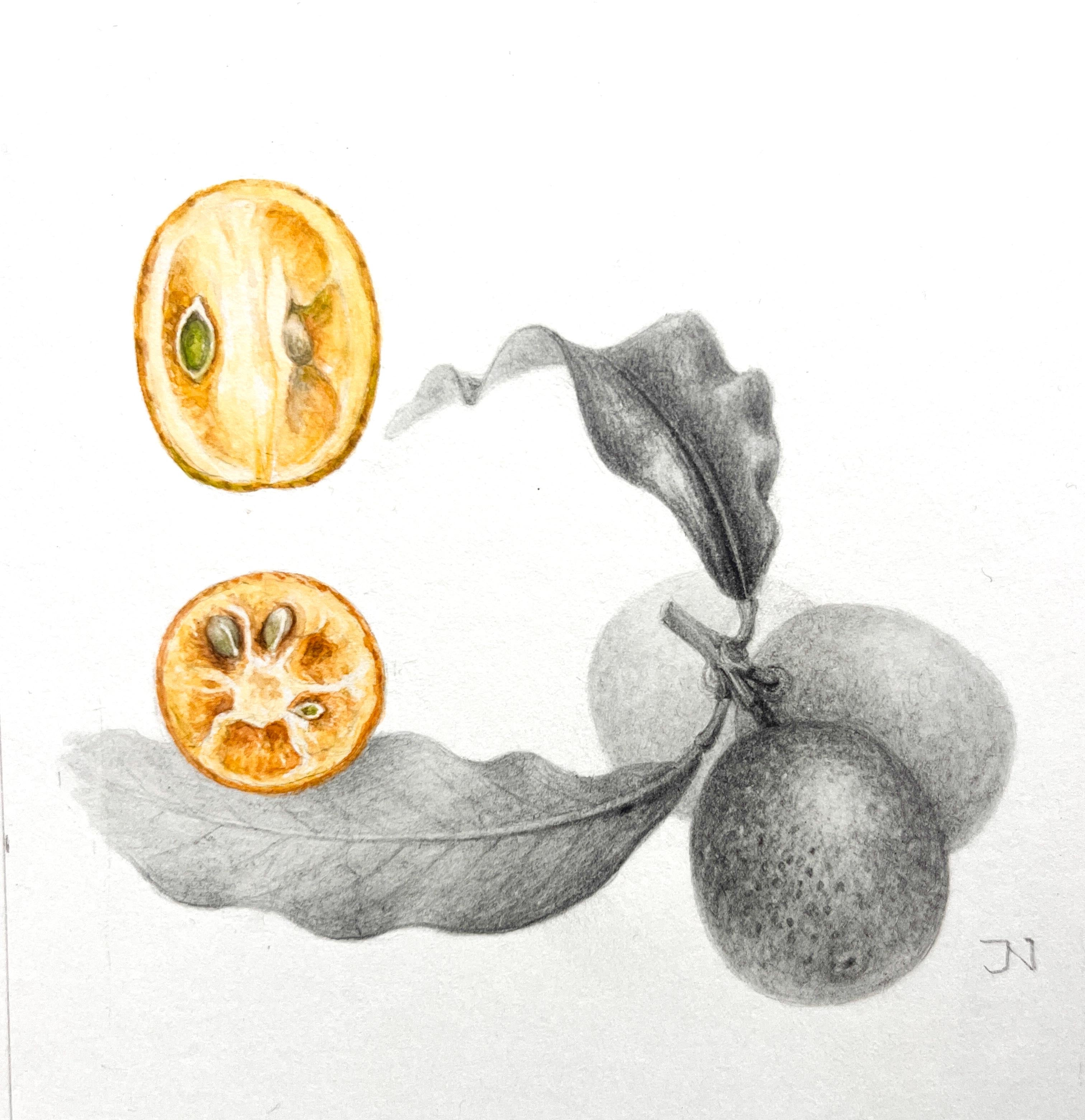 Exercising techniques: One tangerine, three hours, three styles, 1-session class ONLINE: Dec. 29